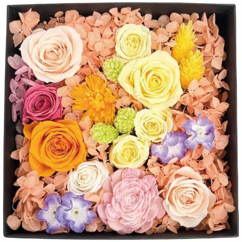 アークフラワースタジオ　プリザーブドフラワー　ジャルダン・フルリ　(1100028410)