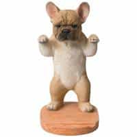 アニマルスタンド