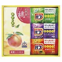 炭酸力の薬用入浴剤セット