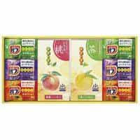 炭酸力の薬用入浴剤セット