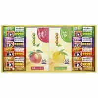 炭酸力の薬用入浴剤セット