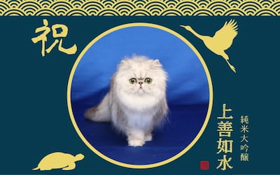 作例