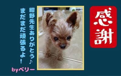 作例