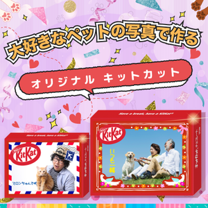 ペット（犬・猫）の写真付きプチギフト・お菓子特集