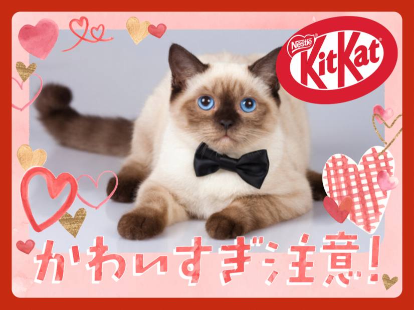 ペットがおうちにきた記念日に