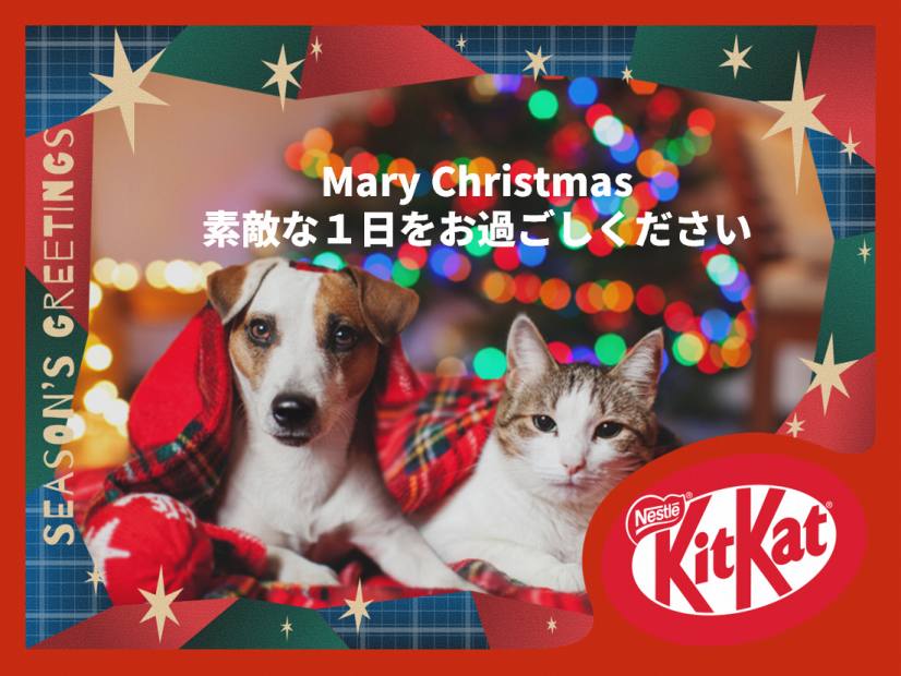 メッセージチョコでクリスマスを楽しもう