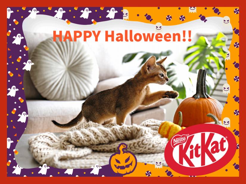 メッセージ入りお菓子でハロウィンパーティーを盛り上げよう