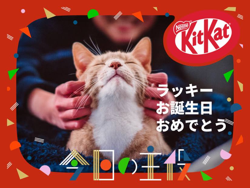 ペットの名前入りお菓子で誕生日を祝おう