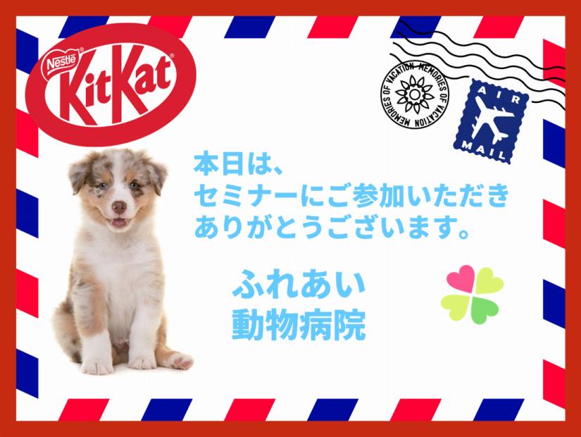 手軽なノベルティお菓子がオススメ
