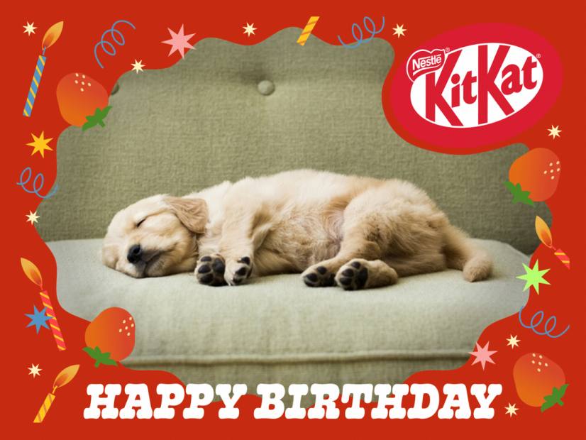 愛犬の誕生日パーティーは特製お菓子でみんなとお祝い