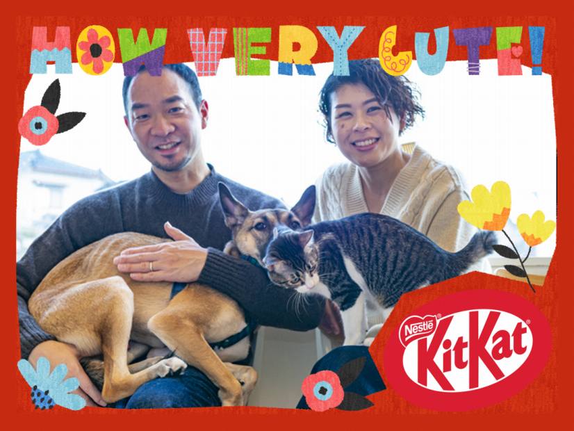 ペットを飼う友人にサプライズプレゼント