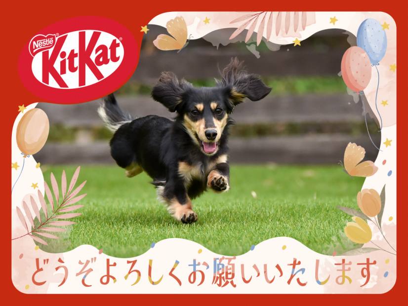 写真入りプレゼントで笑顔をお届け
