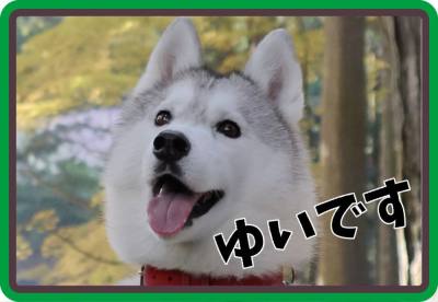 作例