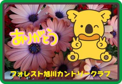 作例