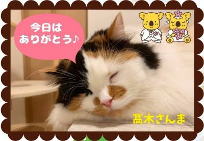 作例