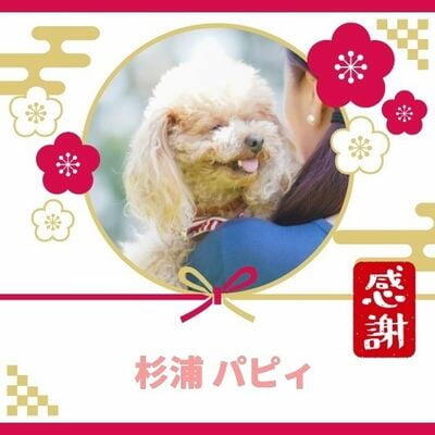 作例