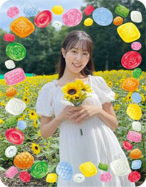 作例