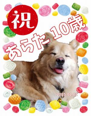 作例