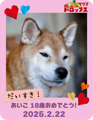 作例