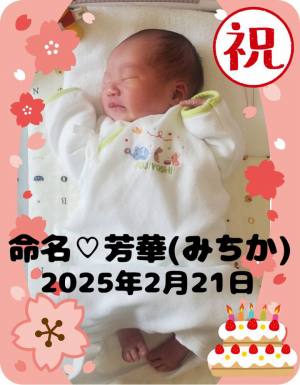 作例
