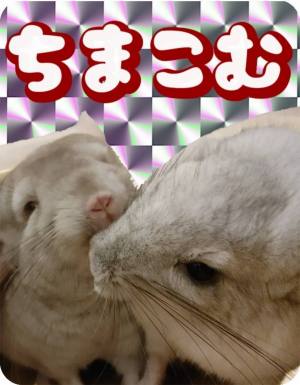 作例