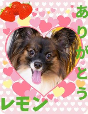作例