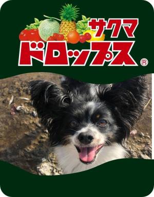作例
