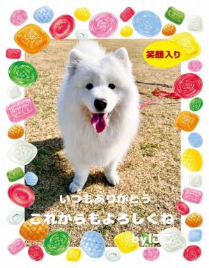 作例