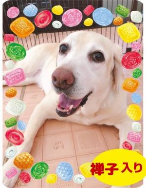 作例