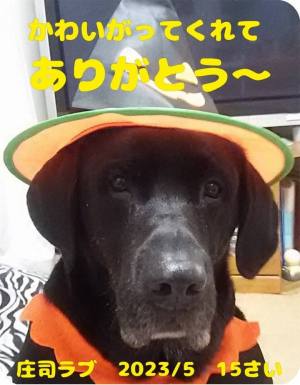 作例
