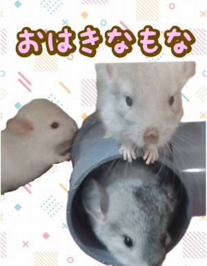 作例