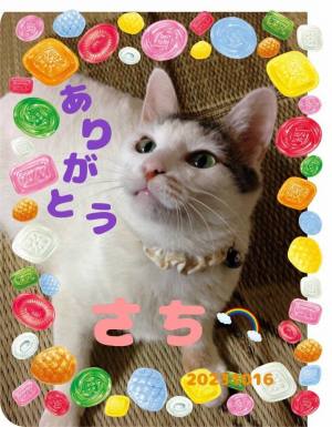 作例