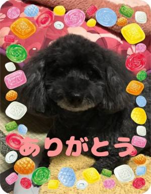 作例