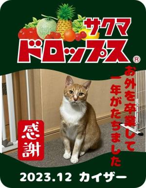 作例