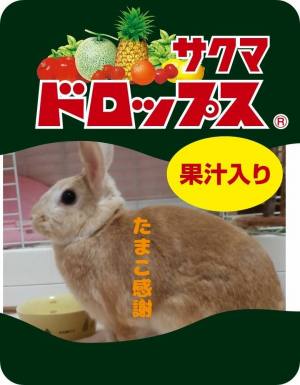 作例
