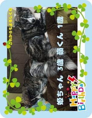 作例