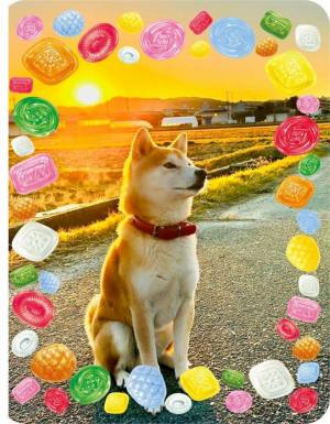作例