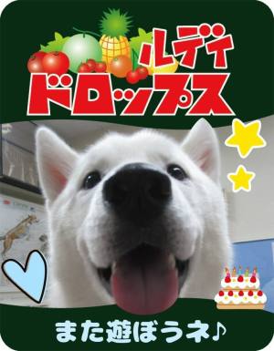 作例