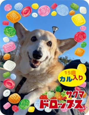 作例