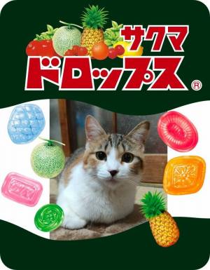 作例