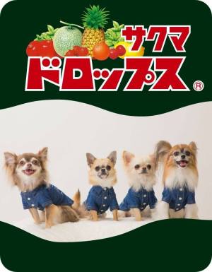 作例