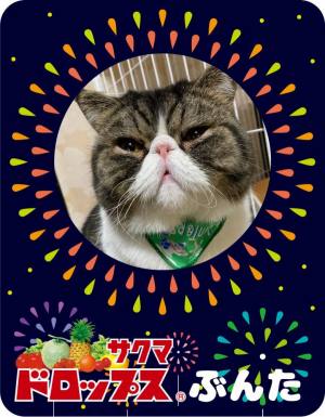作例