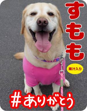 作例