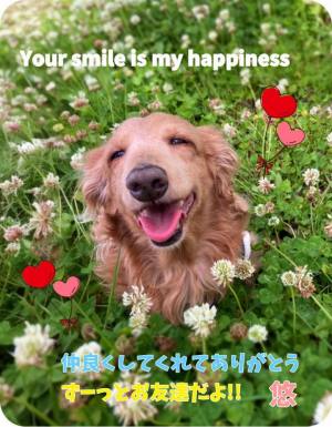 作例