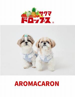 作例