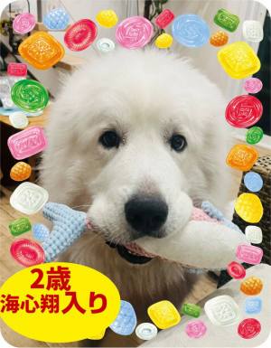 作例