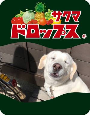 作例