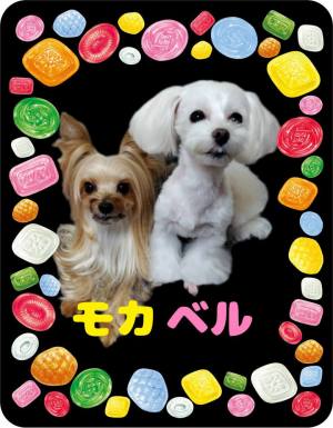 作例