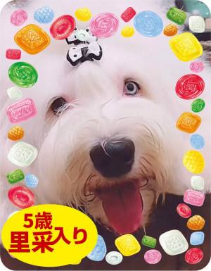 作例