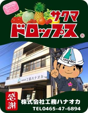 作例